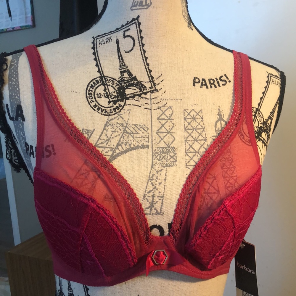 Barbara Lingerie Beaute Sauvage Bra -220565B